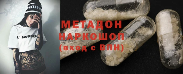 прущие грибы Алзамай