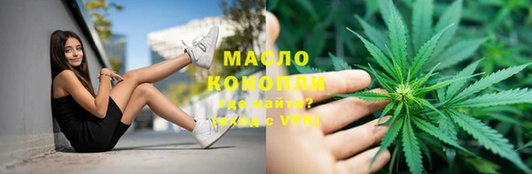 прущие грибы Алзамай