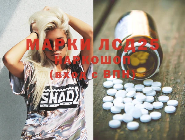 прущие грибы Алзамай