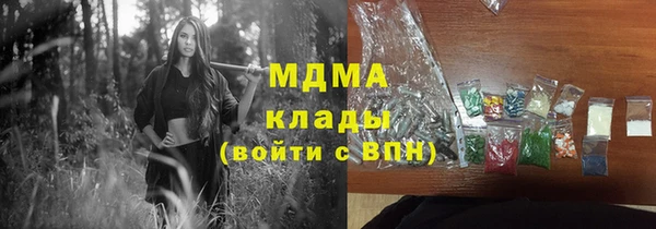 прущие грибы Алзамай