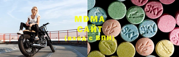 прущие грибы Алзамай