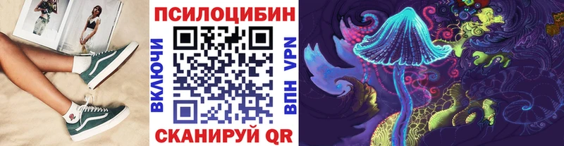 Псилоцибиновые грибы GOLDEN TEACHER  Тында 